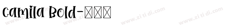 Camila Bold字体转换